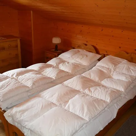 Splendide Chalet Vercorin
